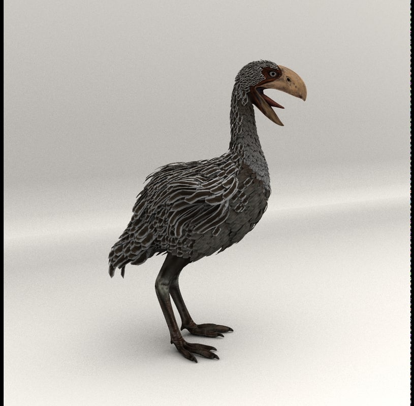 冠恐鸟3d模型