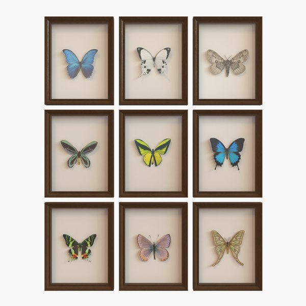 Download 3d Model Framed Butterfly Interior Decor