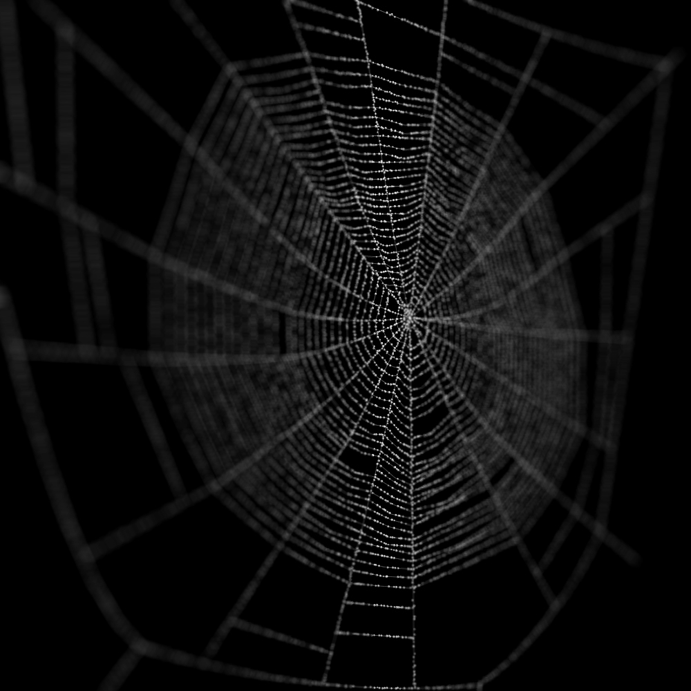 spiderweb web 3d max