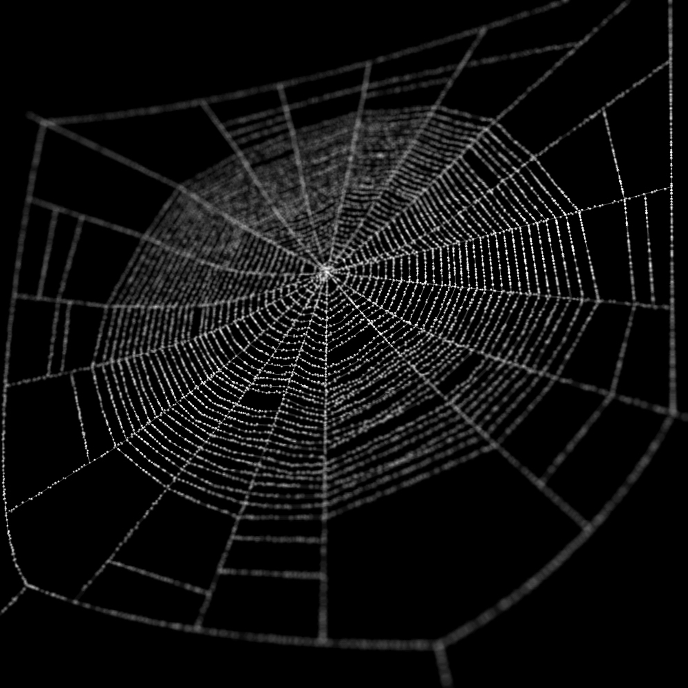 spiderweb web 3d max