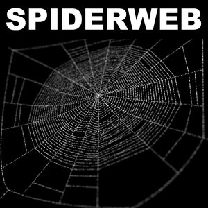 spiderweb web 3d max
