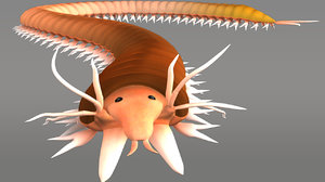 3d model nereis polychaete worms