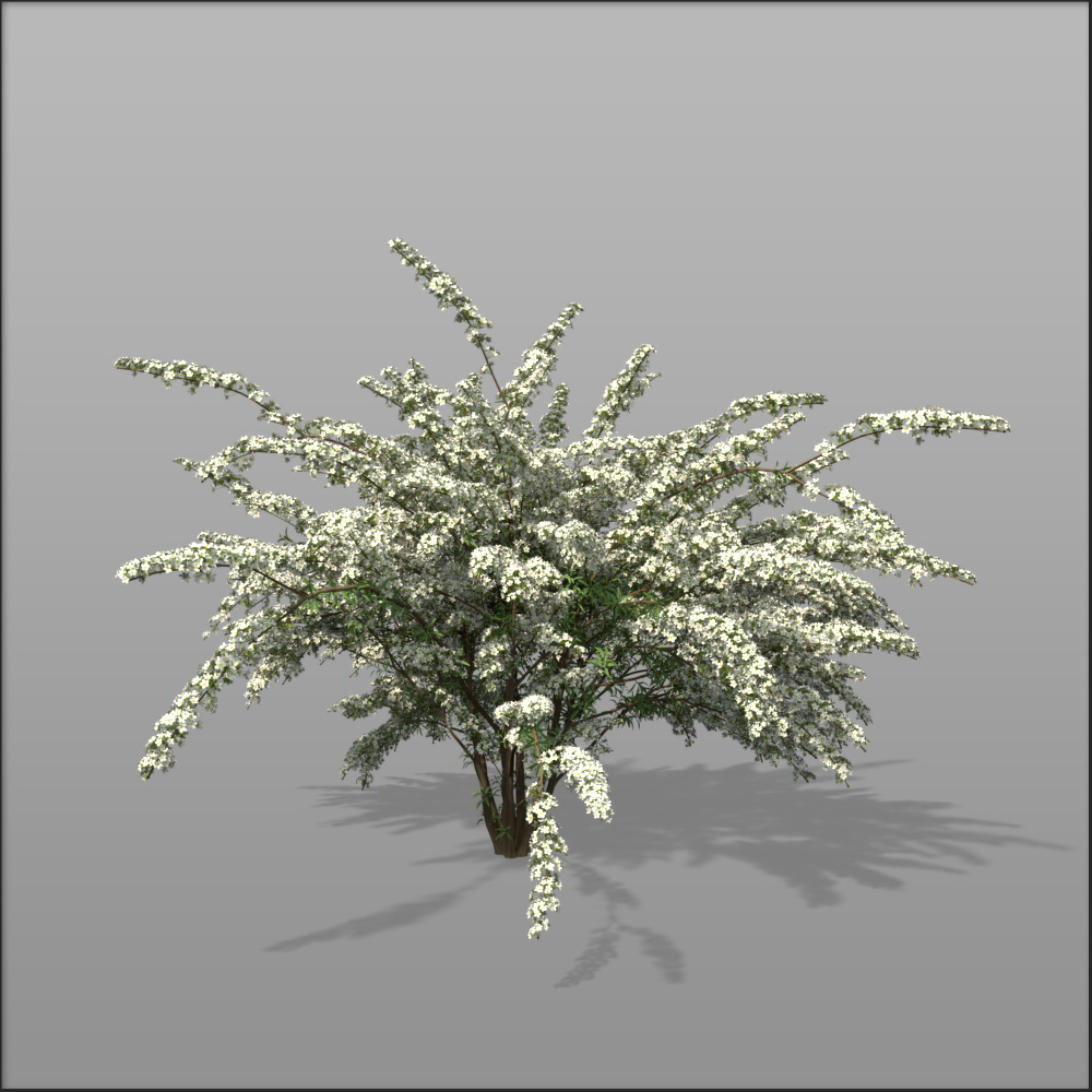 grefsheim spirea obj