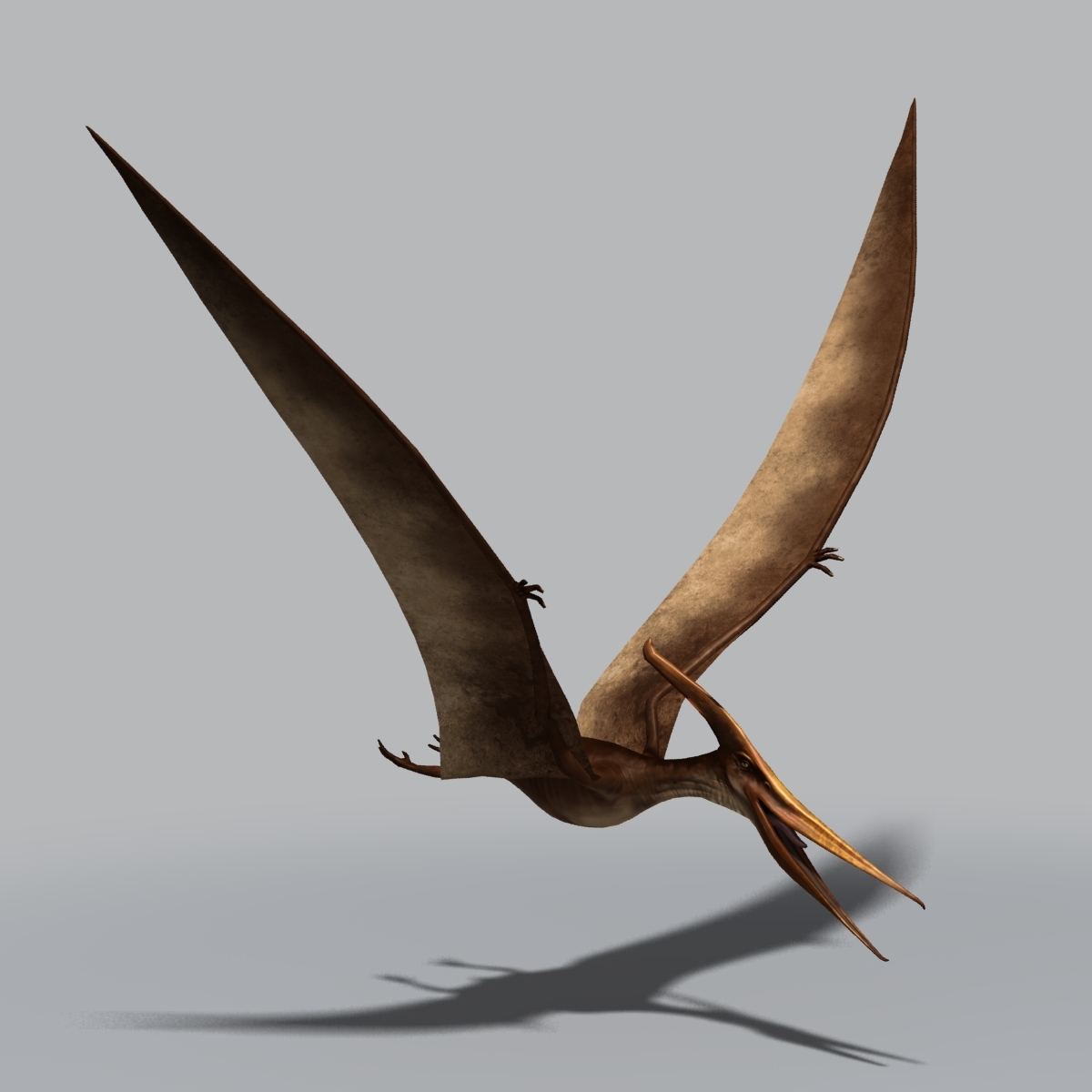 max pterosaur wings dinosaur