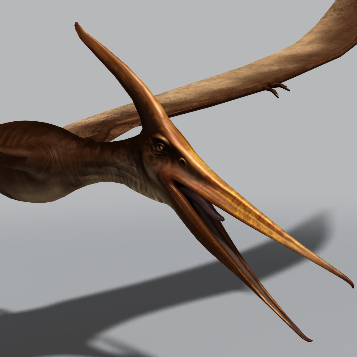 pterosaur a dinosaur