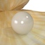 3d 3ds pearl shell