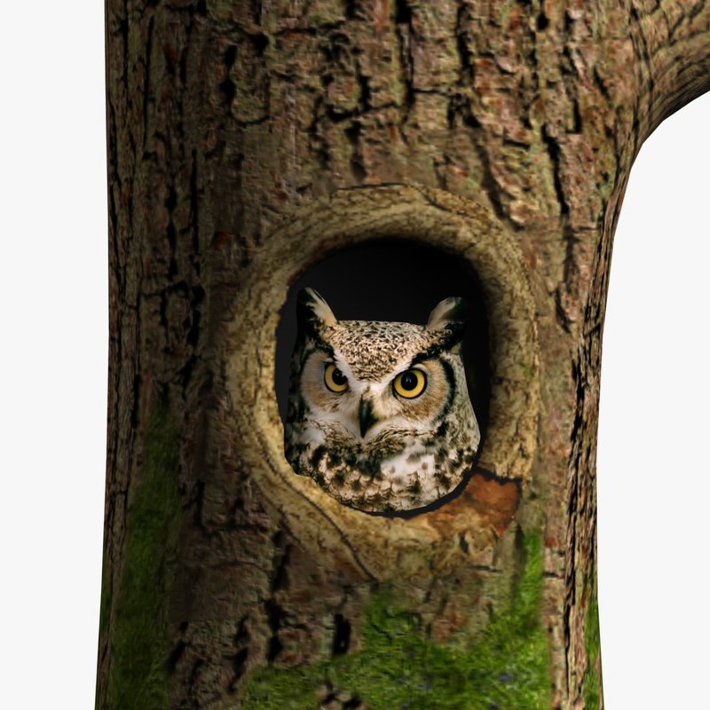 3d owl tree