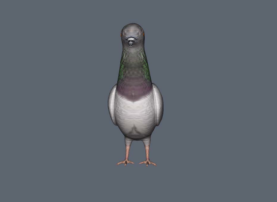 Game pigeon 20 questions