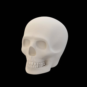 skull printed 3d obj
