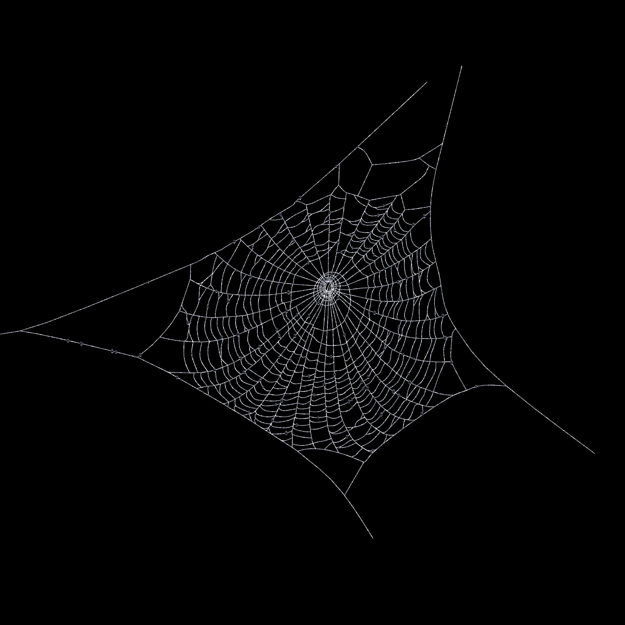 spiderweb-3d-model