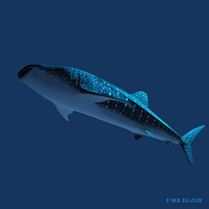 3ds max whale shark