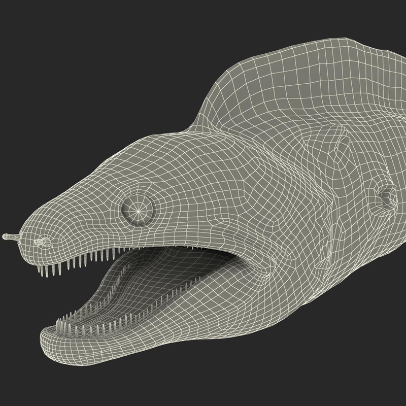 3d model moray eel