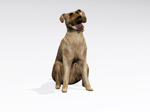 sitting dog 3d model