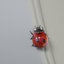 3d animation ladybug v-ray fur model