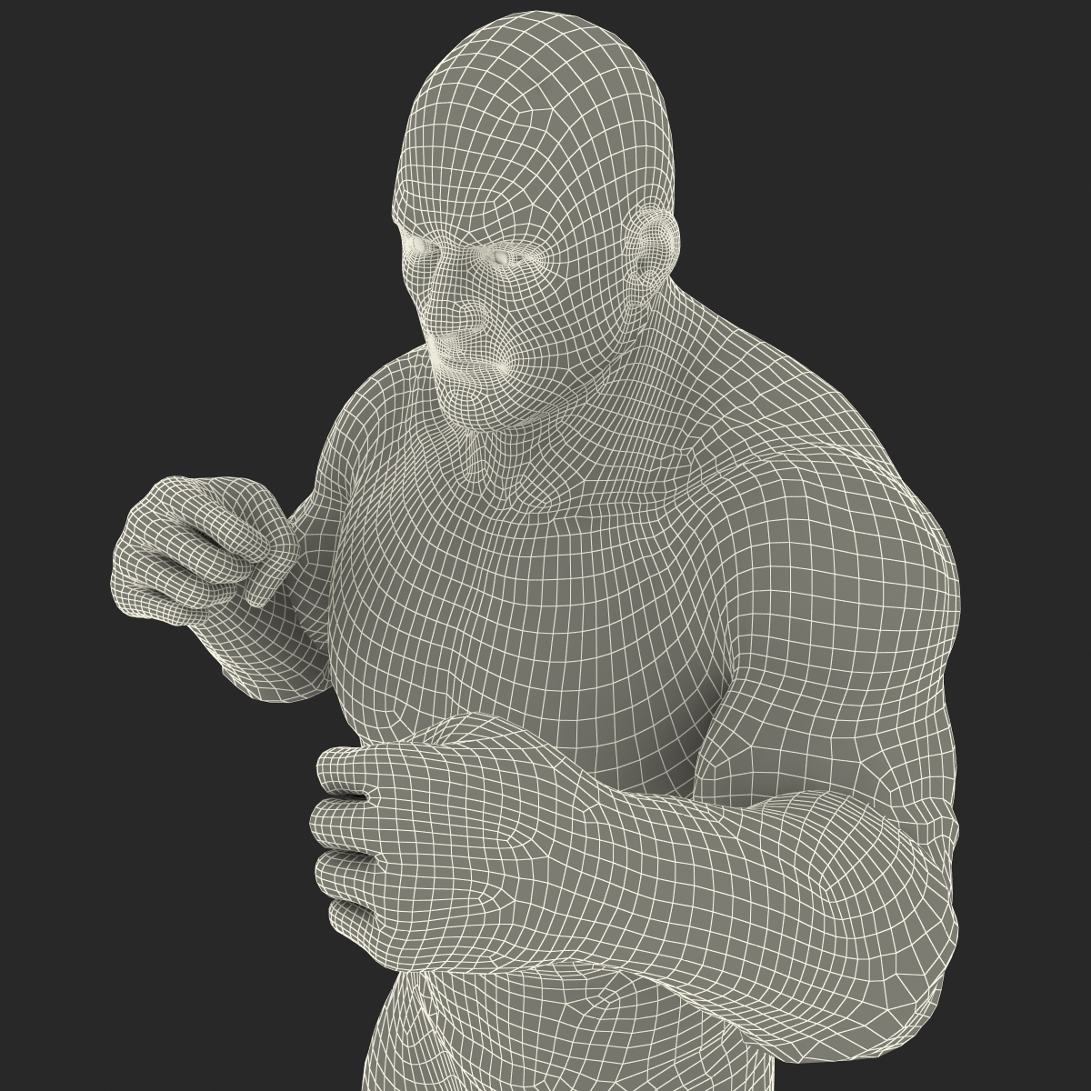 摔跤手姿势13d模型