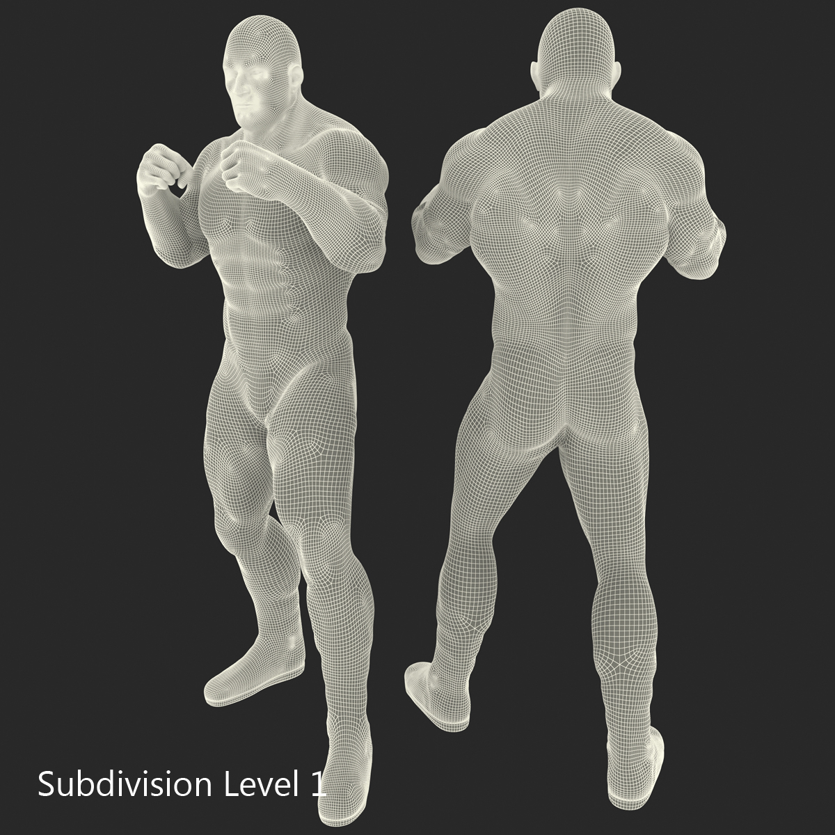 摔跤手姿势13d模型