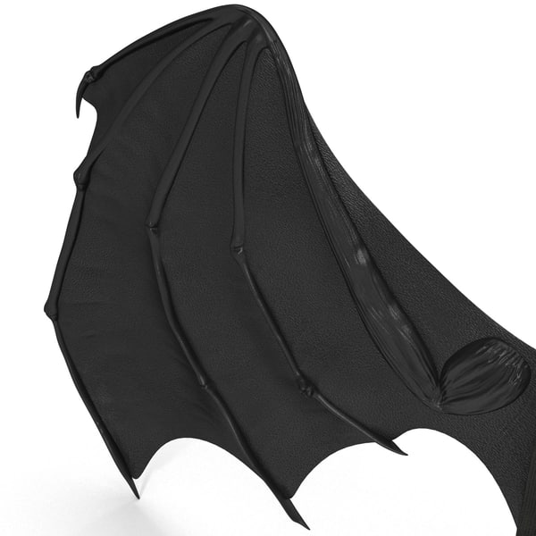 obj costume bat wings
