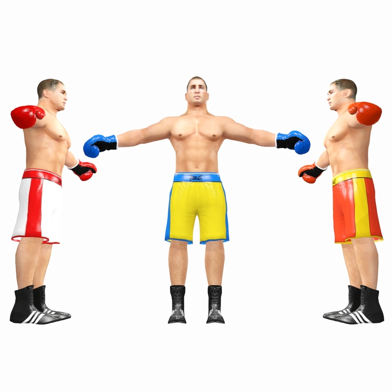 3d model boxer pack
