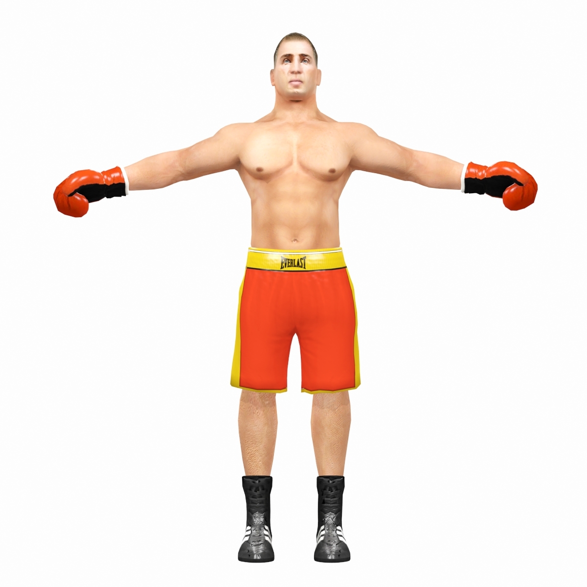 3d model boxer pack