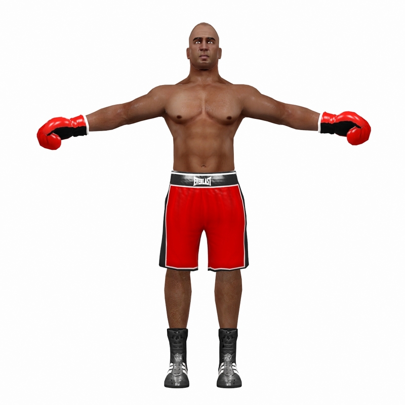 3d model boxer pack