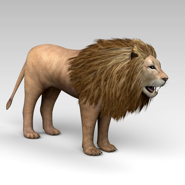 lion 3d 3ds