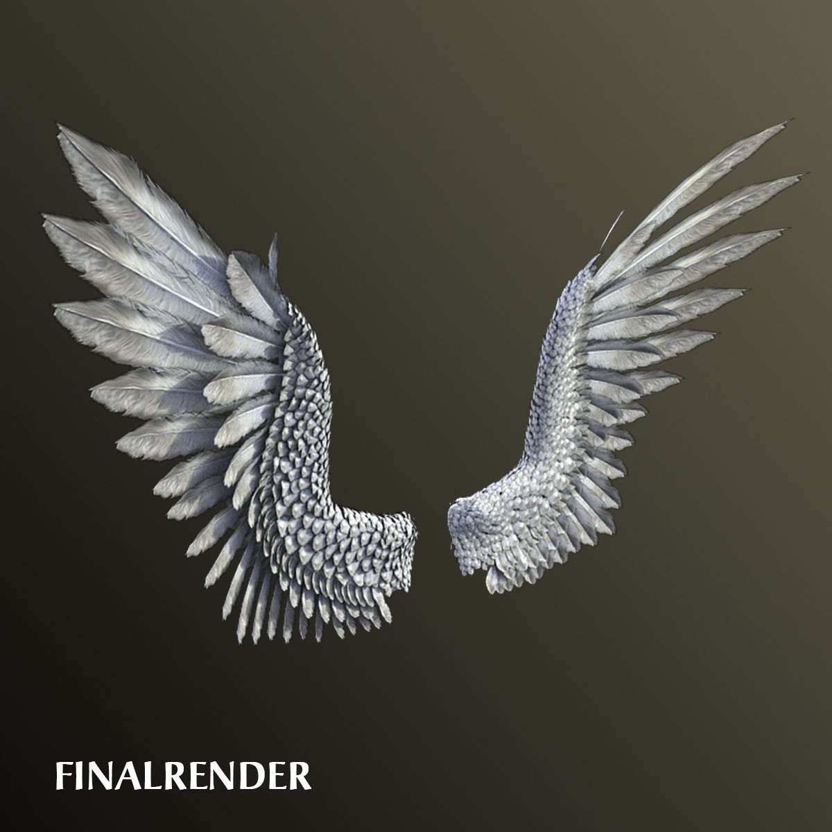 3d model bird angel wings