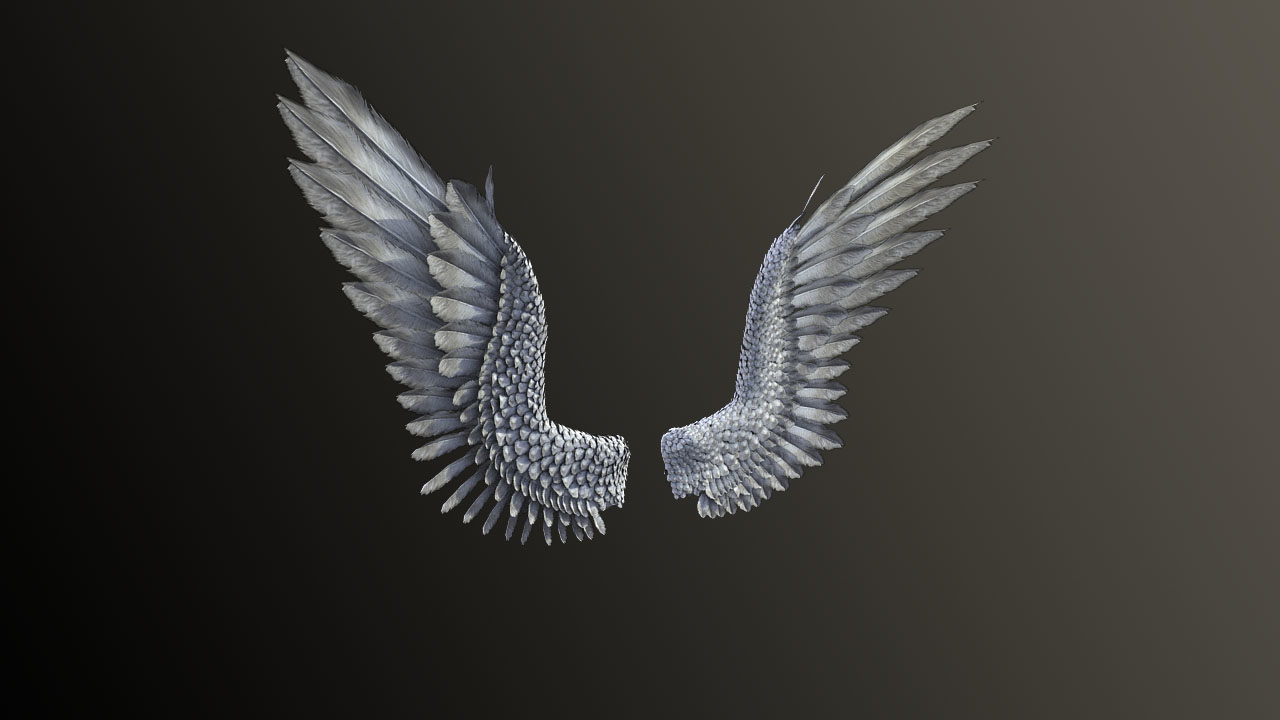 鳥のペア/天使の羽3Dモデル - TurboSquid 809186