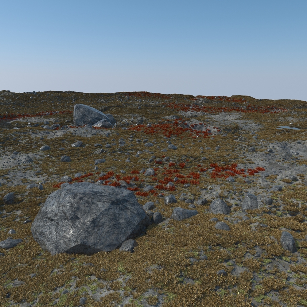 3d model tundra landscape