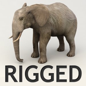 rigged elephant 3d 3ds