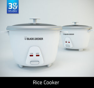 rice cooker typical 3d model