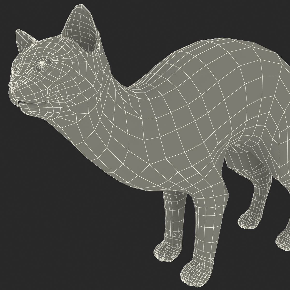 siamese cat rigged 3d model