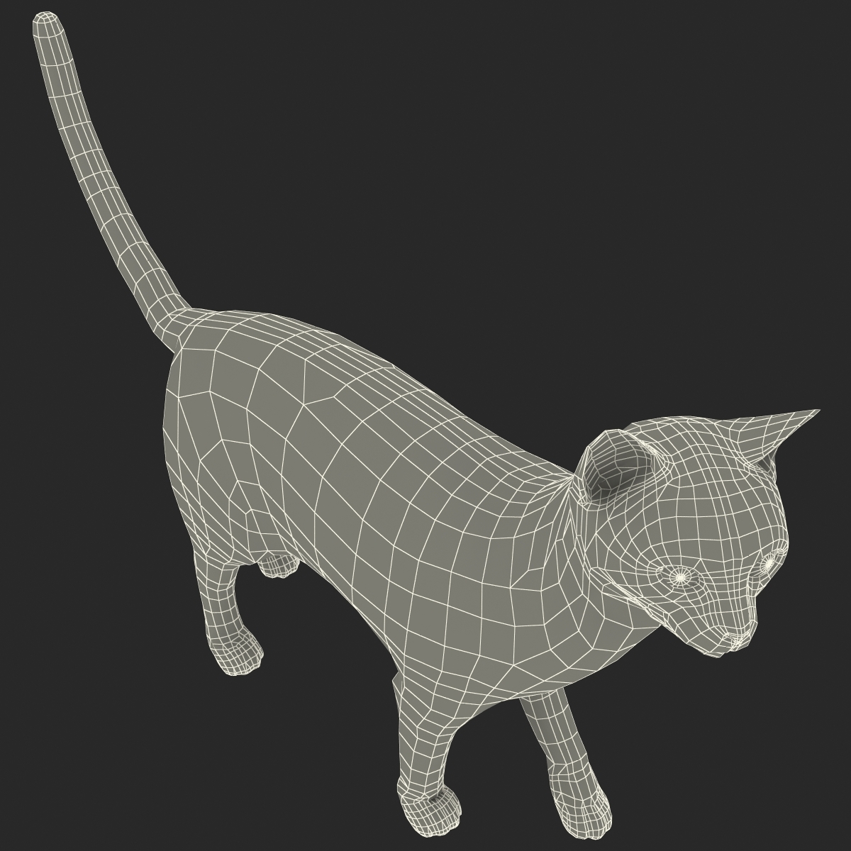 siamese cat rigged 3d model