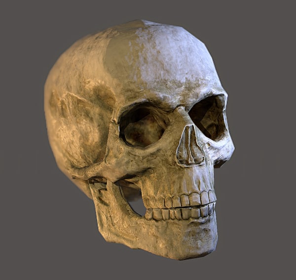 Skull 3D Models for Download TurboSquid