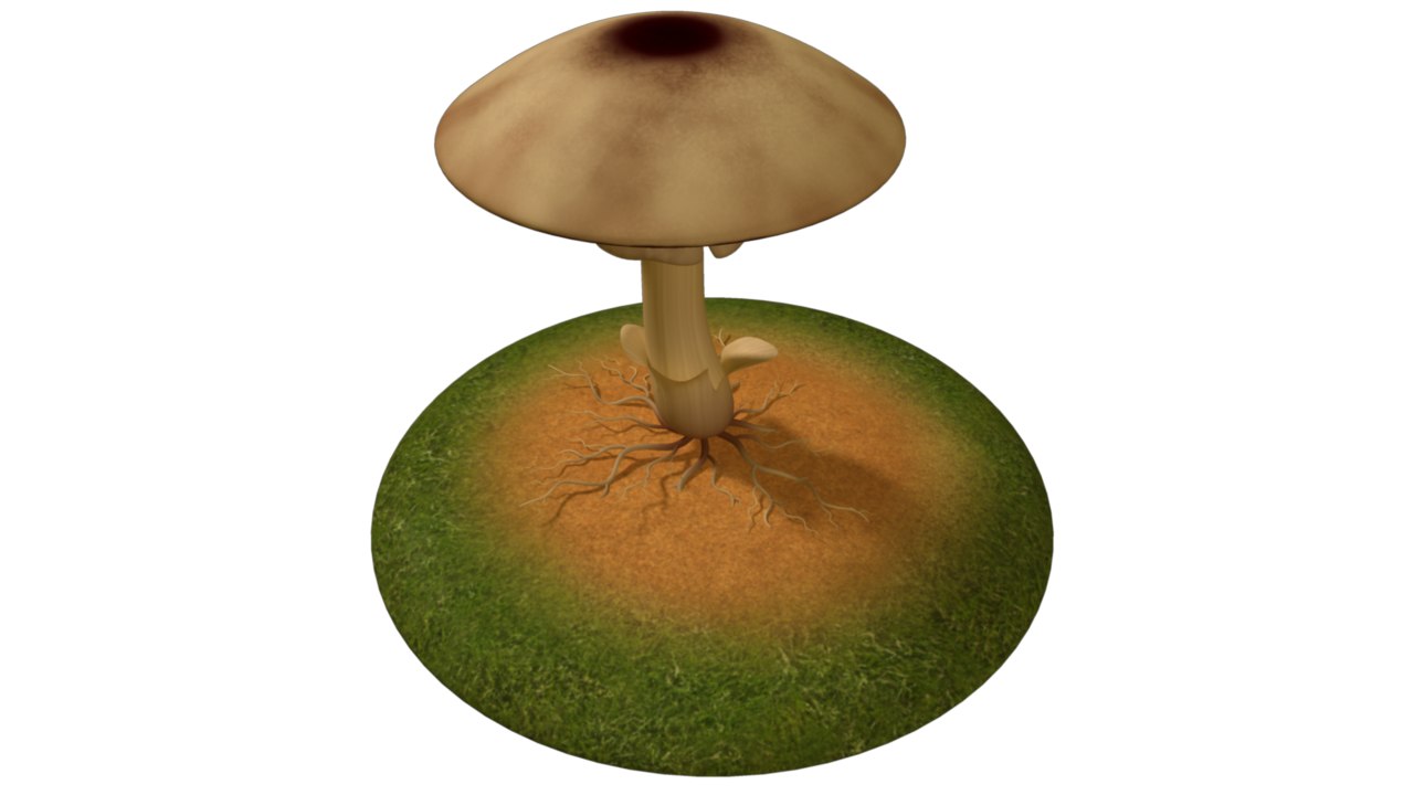 mycelium fungus fungi 3d model https://static.turbosquid.