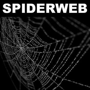spiderweb web 3d model