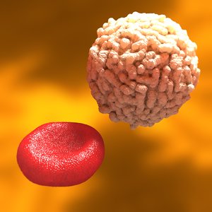white blood cell red 3d c4d