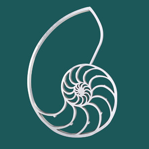free nautilus symbol 3d model