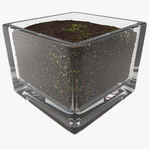 square glass vase soil 3d max