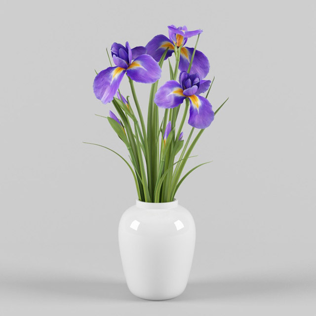 Kết quả hình ảnh cho a vase of Iris