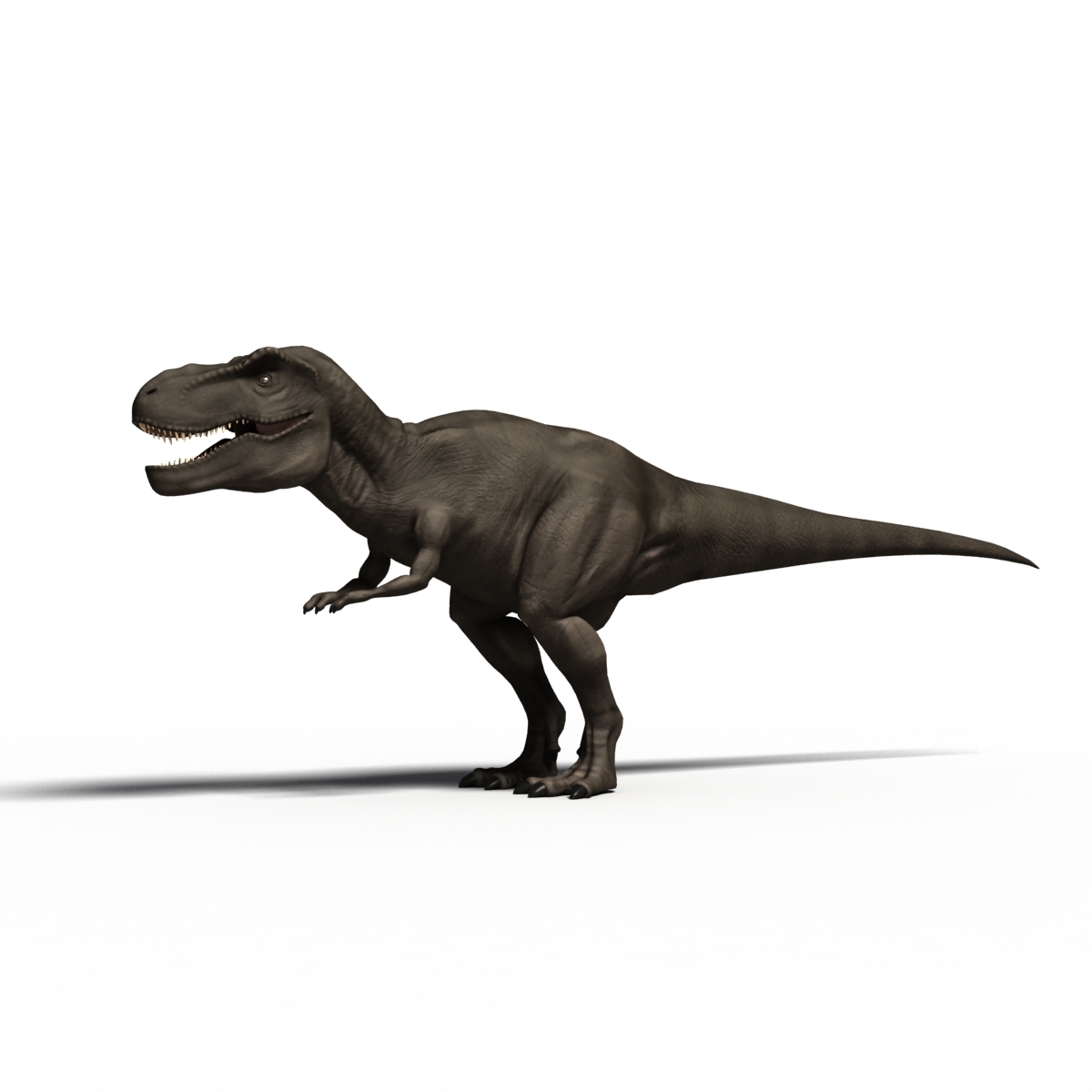 elgoog t rex