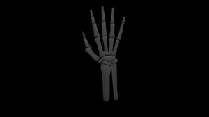 skeleton hand 3d model
