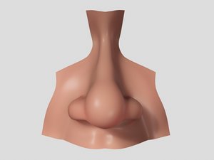 nose realistic human 3d model