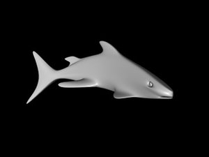 3d model fish shark