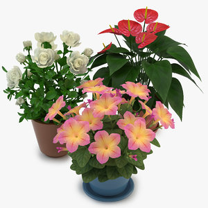 flowers pot model
