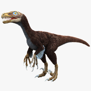3d dromaeosaurus model