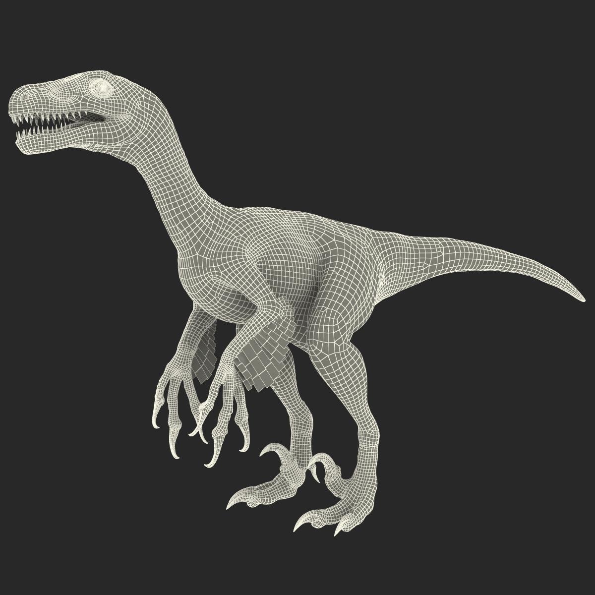 3d Dromaeosaurus Model