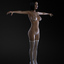 7 1 female body 3d model