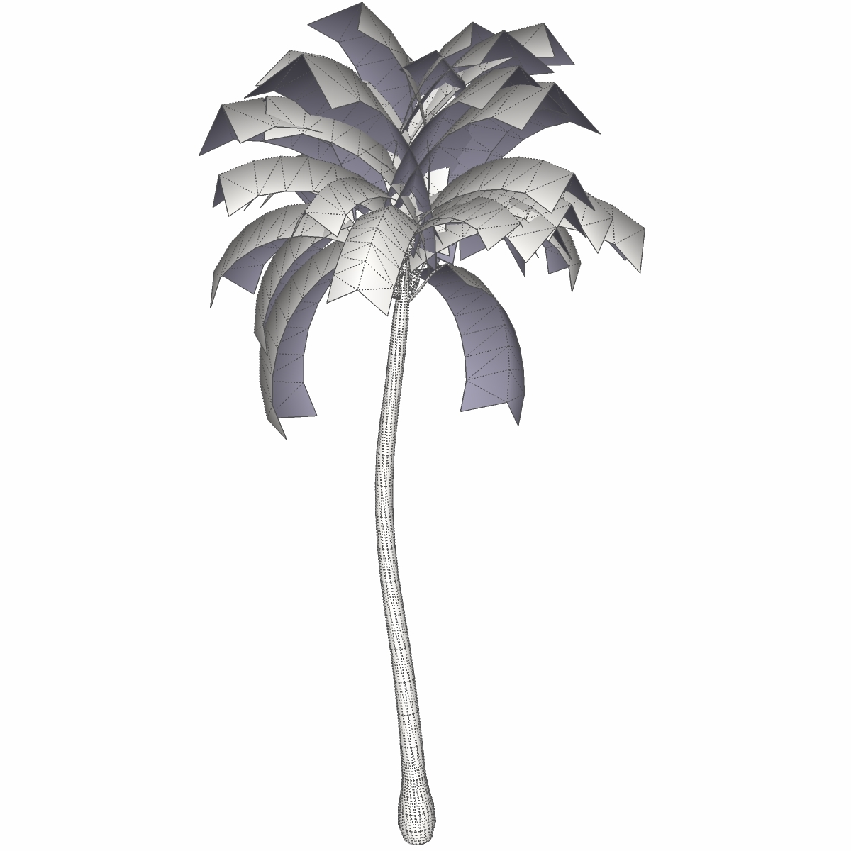 3d model coconut palm tree