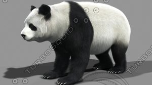 3d model panda bear