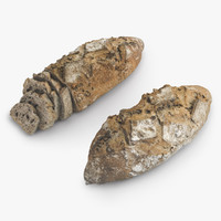 bread photoscan 3d max